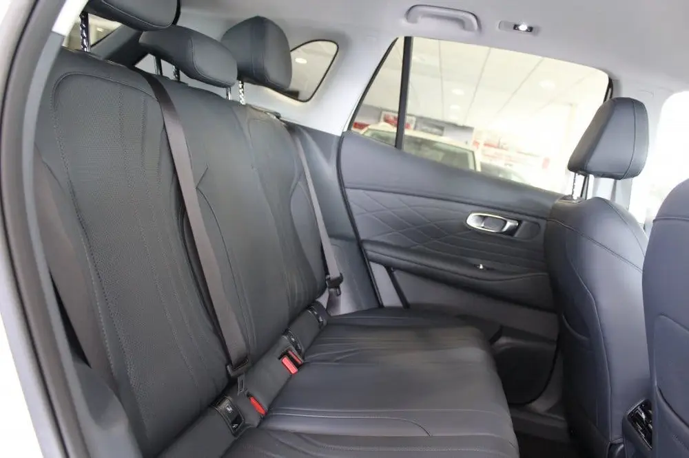 Geely Starray EM-i 1.5 Pro Plug-in uit 2026, foto 6