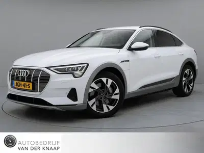 Audi e-tron 55 quattro Business edition 95 kWh uit 2023