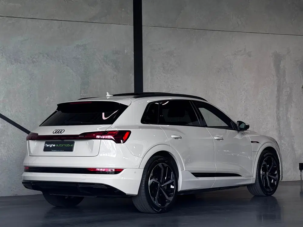 Audi e-tron 55 S edit uit 2022, foto 6