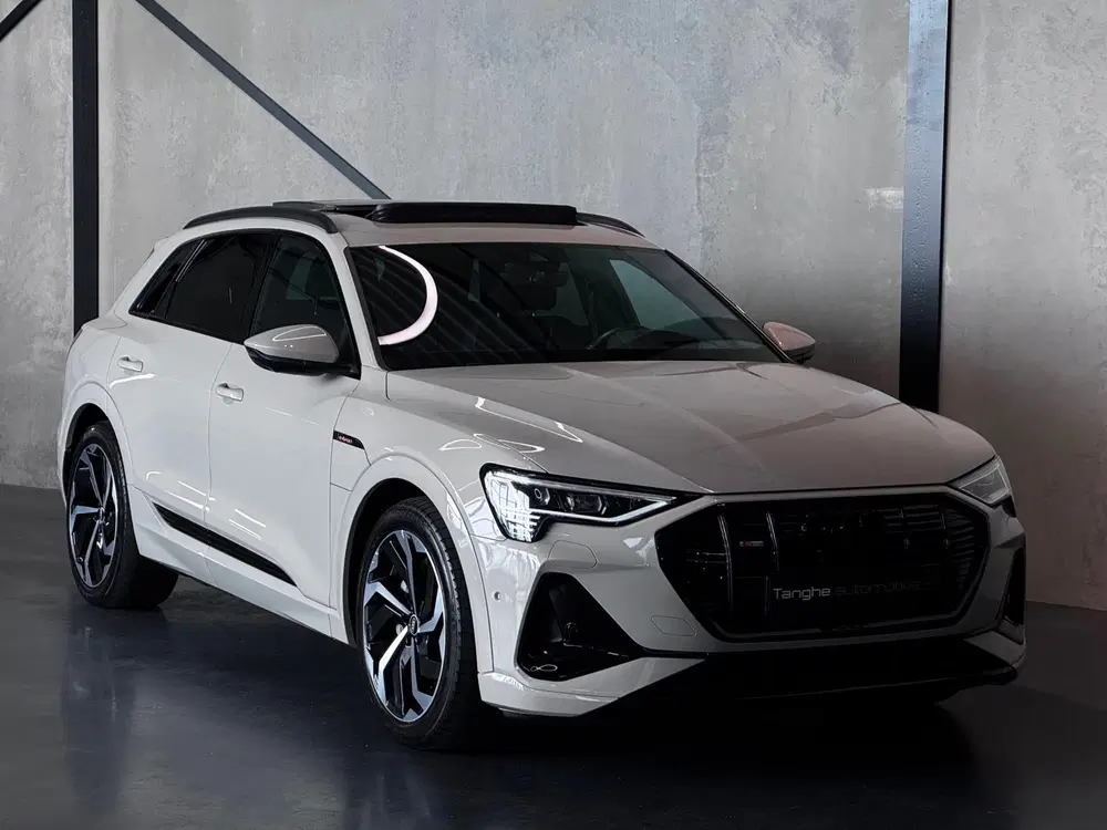 Audi e-tron 55 S edit uit 2022, foto 8