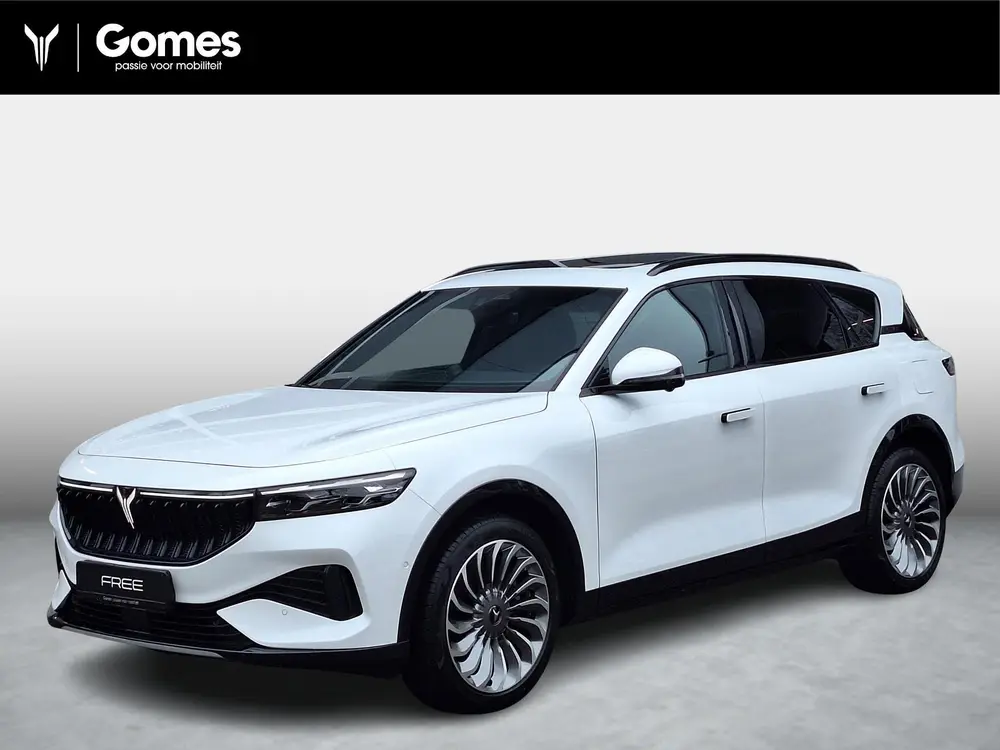 Voyah Free Limited Edition Business 4WD 106 kWh | Black Line uit 2026