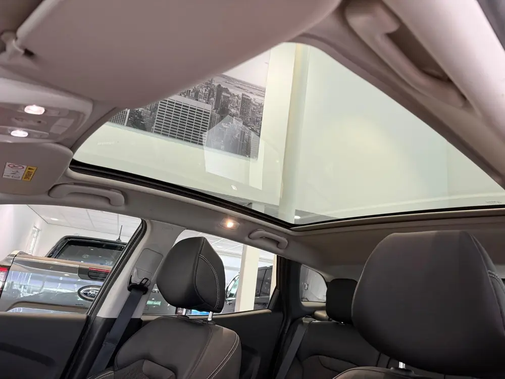 Renault Kadjar 1.3 TCe Black Edition PANORAMA DAK | STOEL VE uit 2019, foto 19