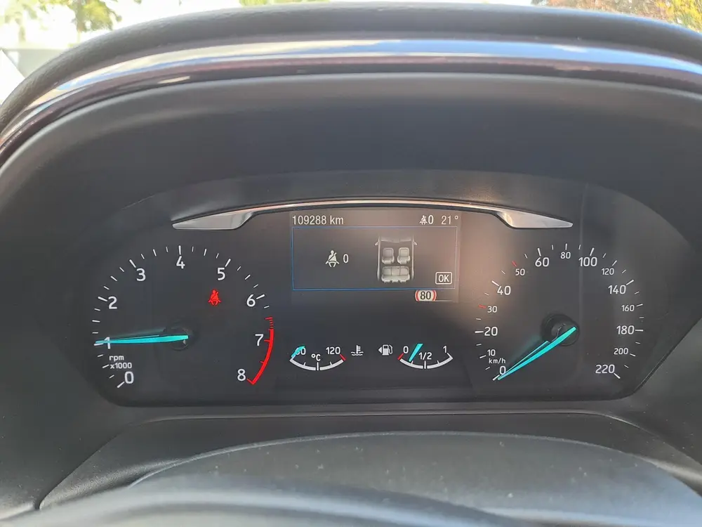 Ford Fiesta 1.0 EcoBoost Vignale Panoramadak, B&O, ACC, Came uit 2019, foto 17