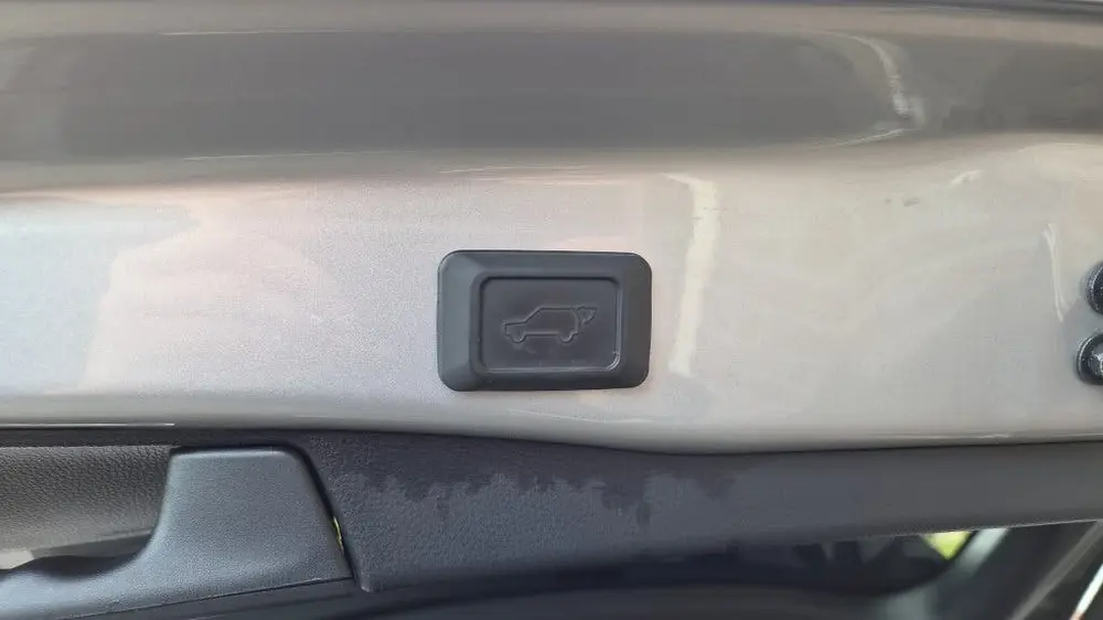 Toyota RAV4 2.5 Hybrid Executive Bearlock, Pano, BSM, Trekha uit 2019, foto 12
