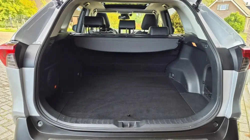 Toyota RAV4 2.5 Hybrid Executive Bearlock, Pano, BSM, Trekha uit 2019, foto 6