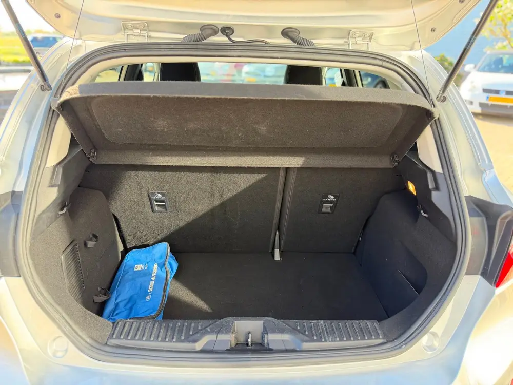 Ford Fiesta /1.0 EcoBoost Titanium/ Carplay/ Camera/ Parkass uit 2019, foto 11