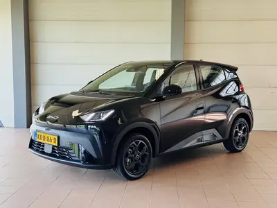 BYD Dolphin Surf Boost uit 2026