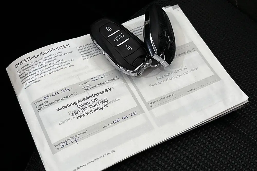 DS Automobiles DS 4 DS 4 E-Tense Performance Line Navigatie Ap uit 2022, foto 12