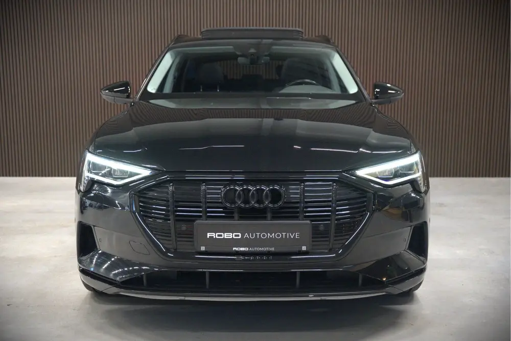 Audi e-tron e-tron 50 quattro Launch edition plus 71 kWh | P uit 2019, foto 11