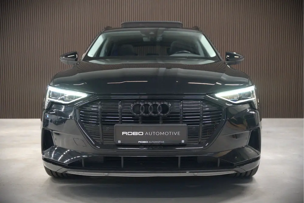 Audi e-tron e-tron 50 quattro Launch edition plus 71 kWh | P uit 2019, foto 12
