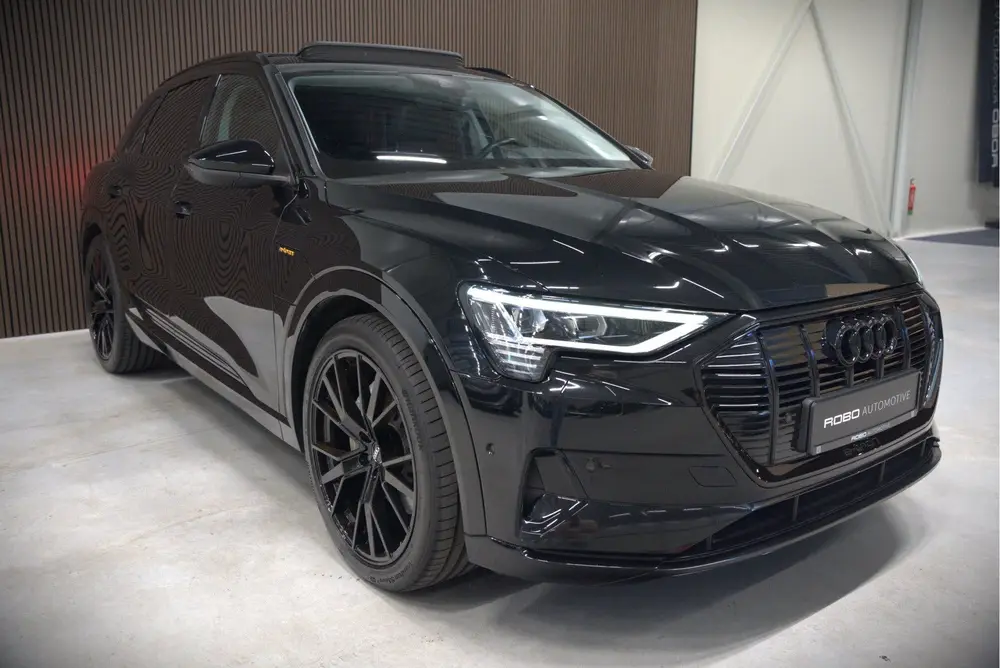 Audi e-tron e-tron 50 quattro Launch edition plus 71 kWh | P uit 2019, foto 15