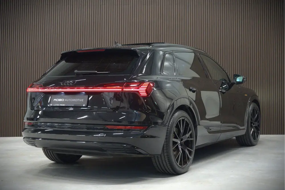 Audi e-tron e-tron 50 quattro Launch edition plus 71 kWh | P uit 2019, foto 2