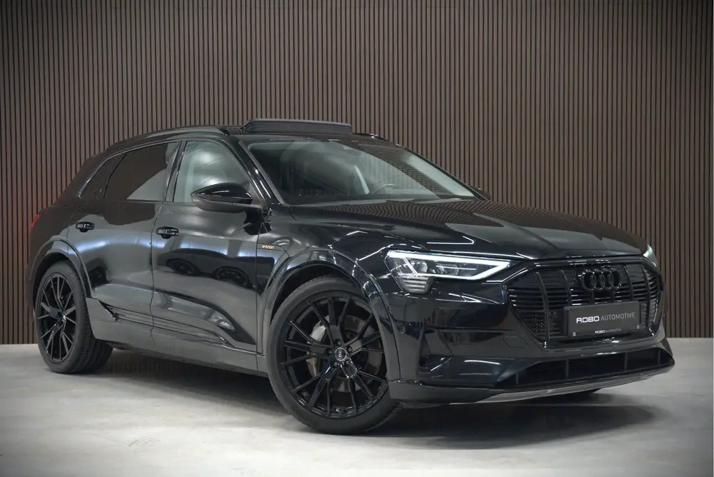Audi e-tron e-tron 50 quattro Launch edition plus 71 kWh | P uit 2019, foto 7