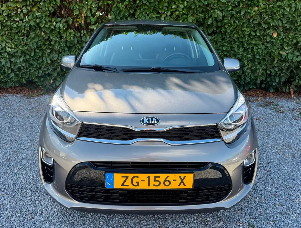 Kia Picanto 1.0 CVVT Design Edition |CARPLAY|CAMERA|CRUISE|L uit 2019, foto 5