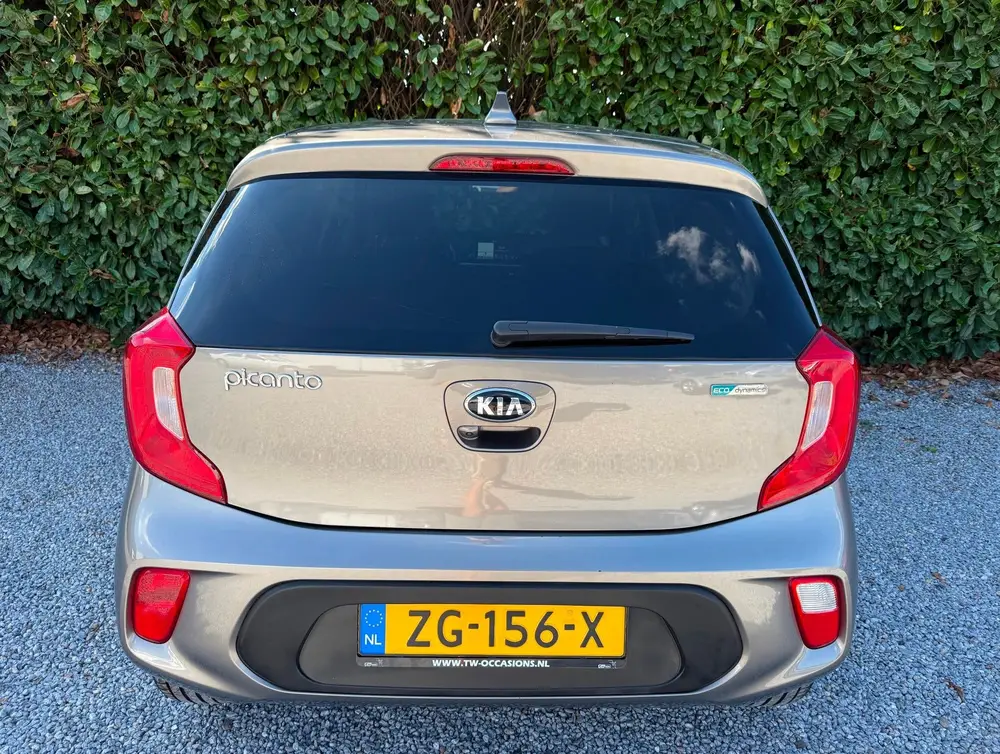 Kia Picanto 1.0 CVVT Design Edition |CARPLAY|CAMERA|CRUISE|L uit 2019, foto 7