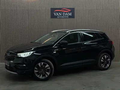Opel Grandland X 1.2 Turbo Innovation 2020 LED TREKHAAK CAM uit 2020