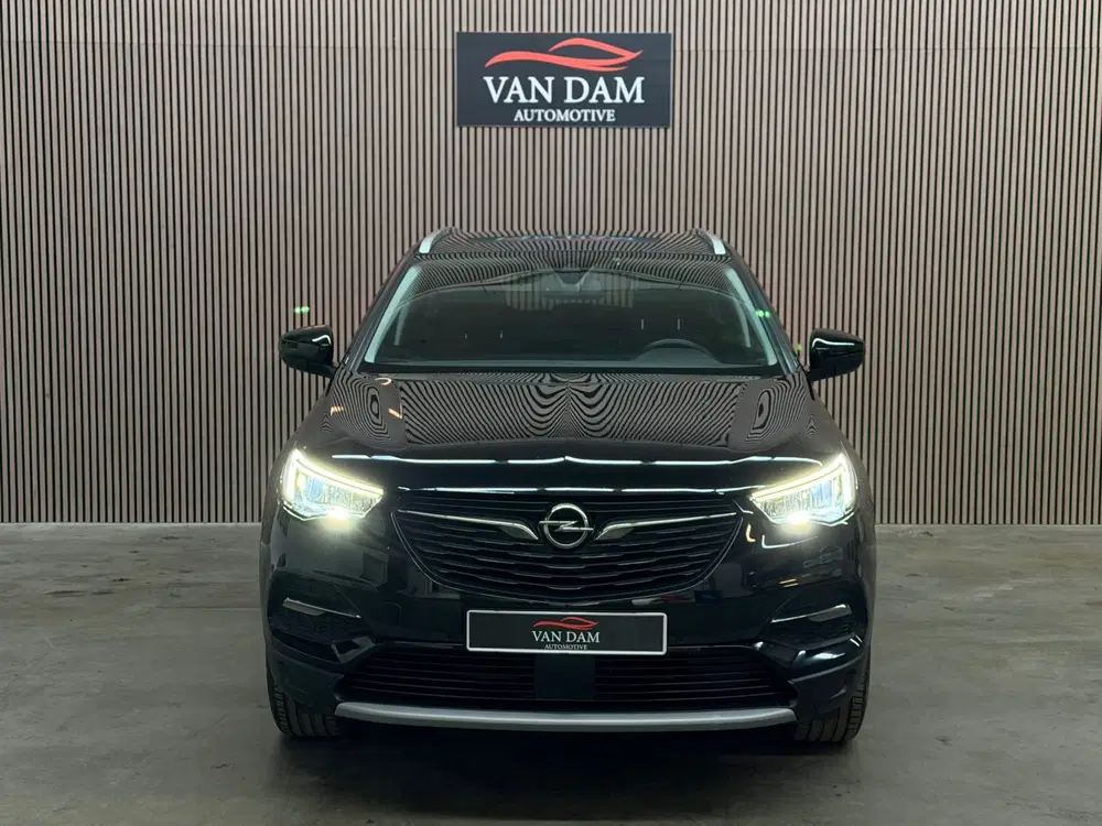 Opel Grandland X 1.2 Turbo Innovation 2020 LED TREKHAAK CAM uit 2020, foto 7