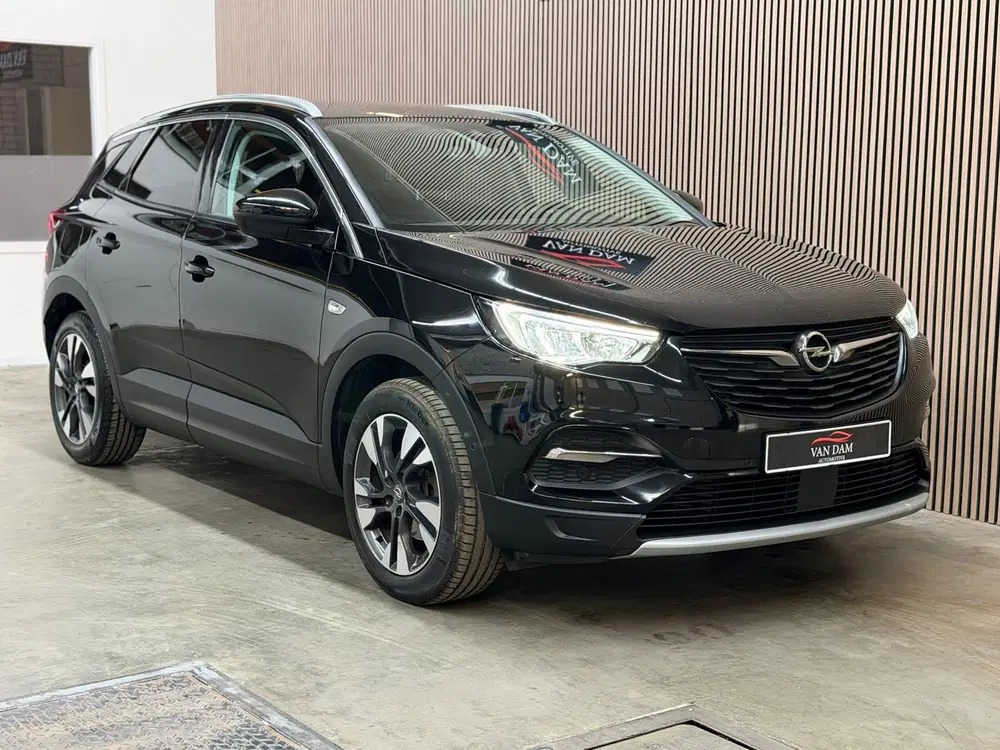 Opel Grandland X 1.2 Turbo Innovation 2020 LED TREKHAAK CAM uit 2020, foto 9