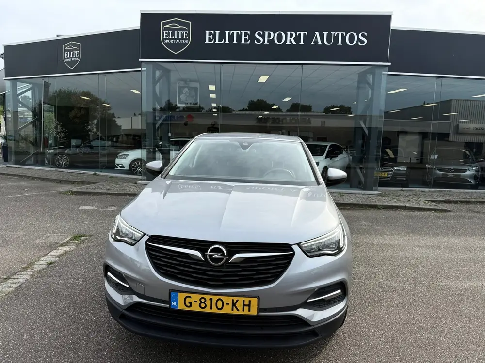 Opel Grandland X 1.2 Turbo 120 Jaar Edition I Navi I Cruise uit 2019