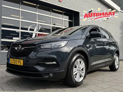 Opel Grandland X 1.2 Turbo 120 Jaar Edition uit 2019