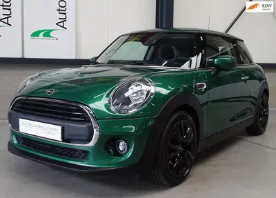 Mini Overig 1.5 "SALT" uit 2020