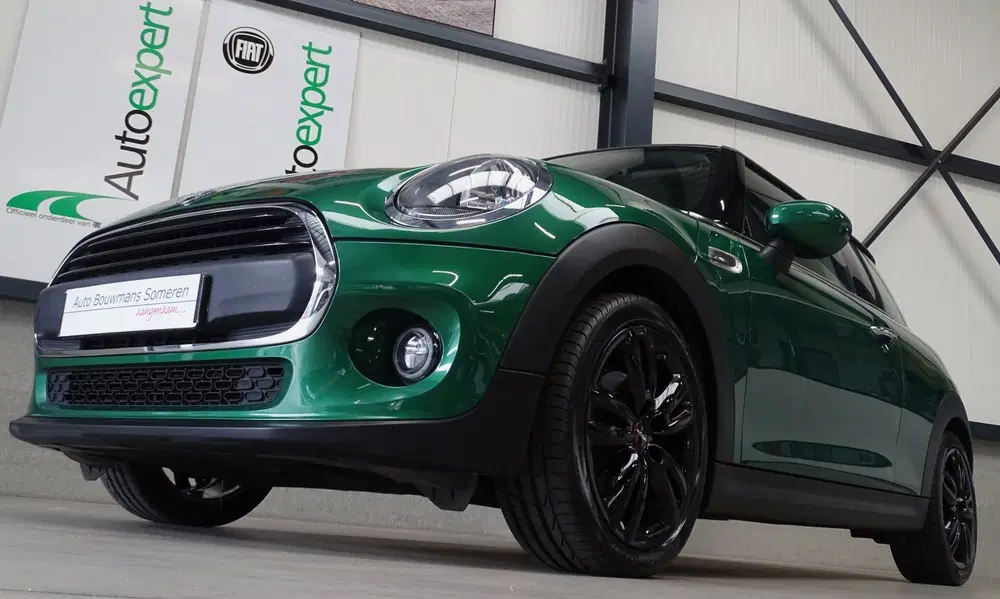 Mini Overig 1.5 "SALT" uit 2020, foto 12