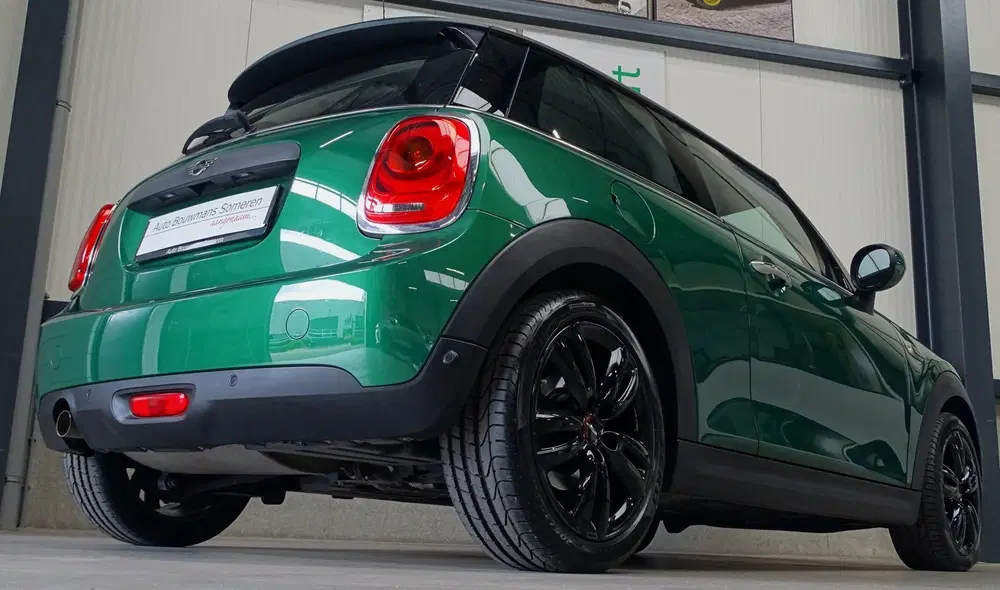Mini Overig 1.5 "SALT" uit 2020, foto 13