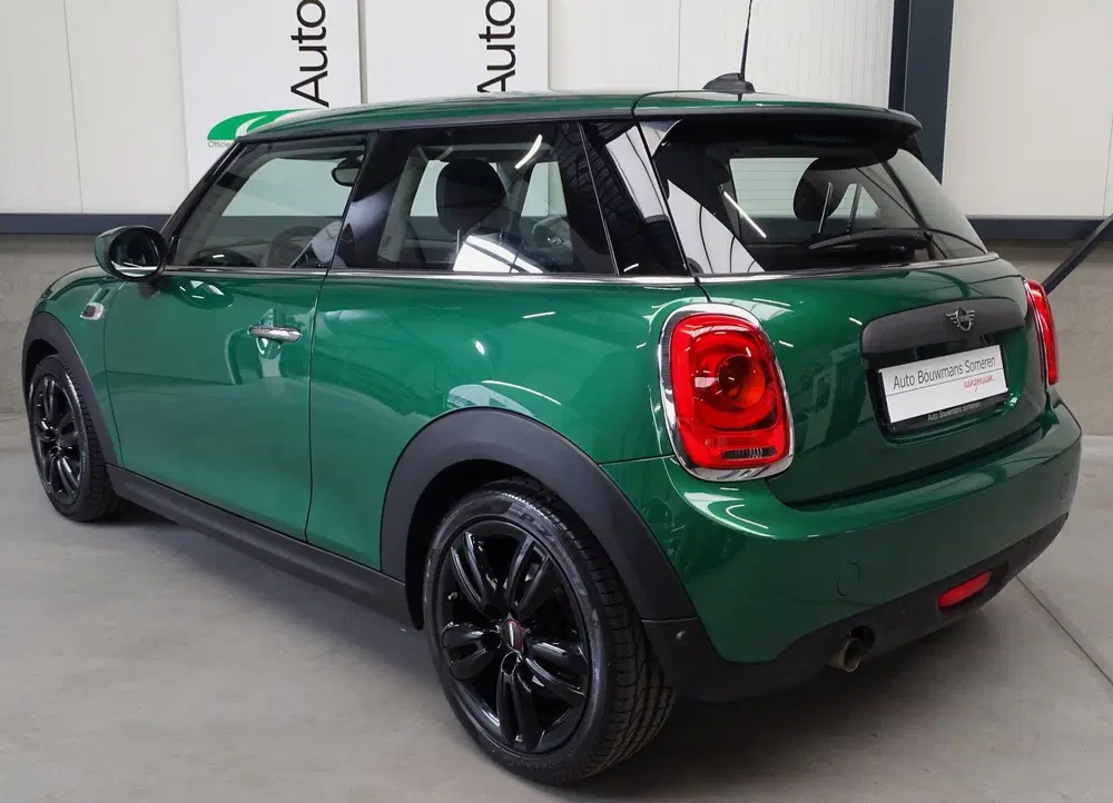 Mini Overig 1.5 "SALT" uit 2020, foto 2