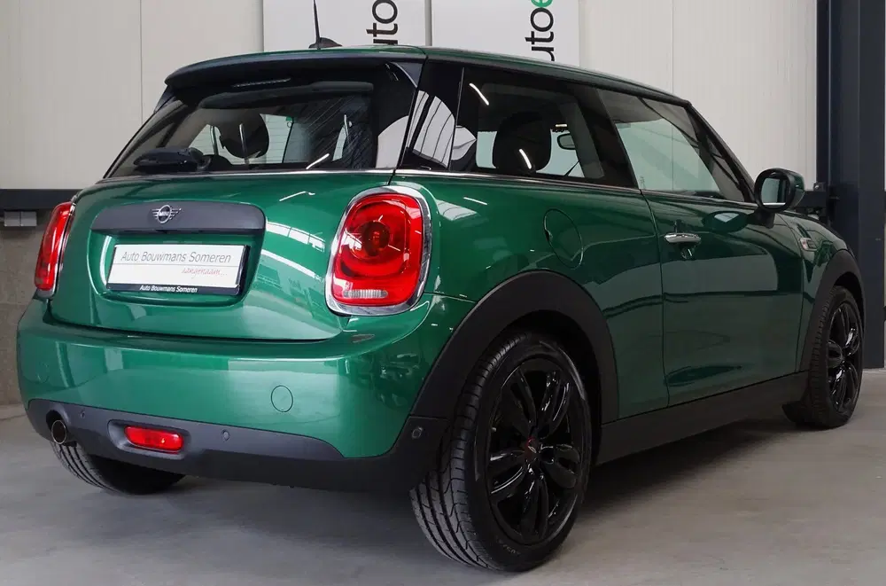 Mini Overig 1.5 "SALT" uit 2020, foto 3