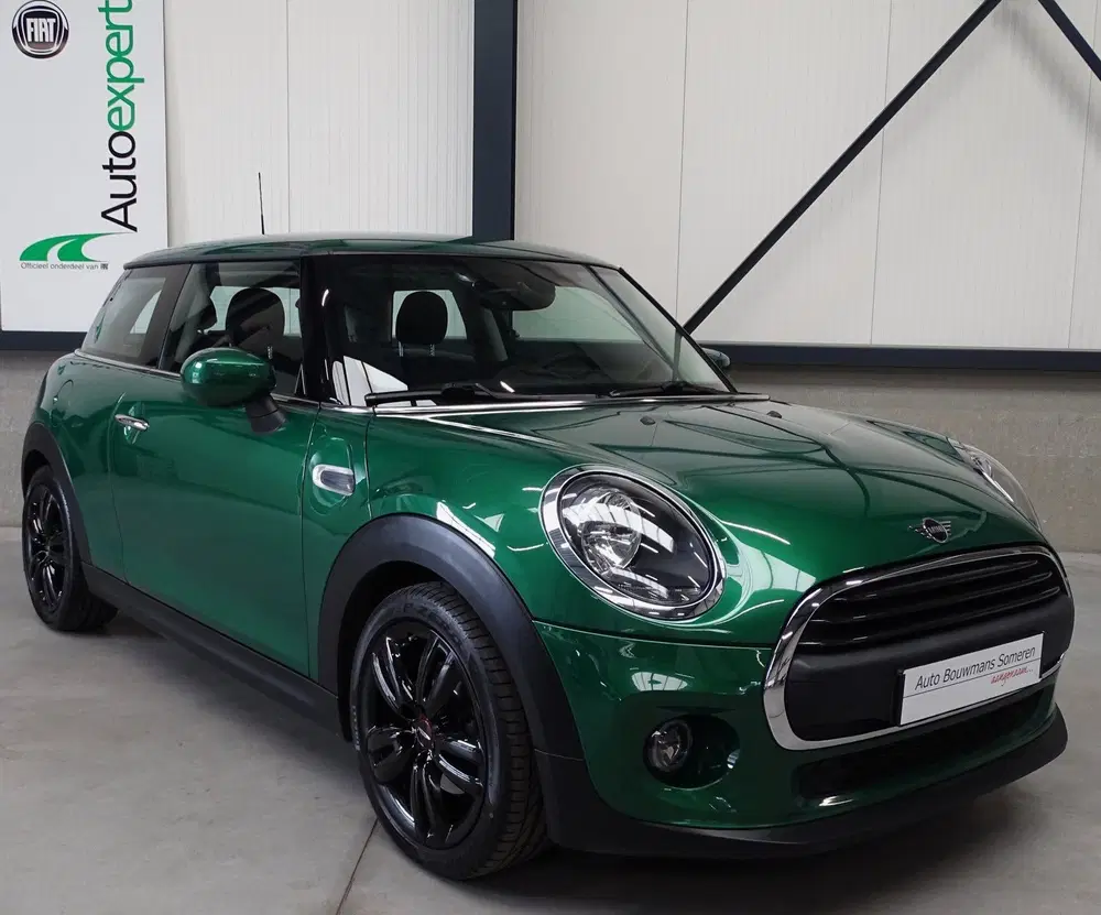 Mini Overig 1.5 "SALT" uit 2020, foto 4