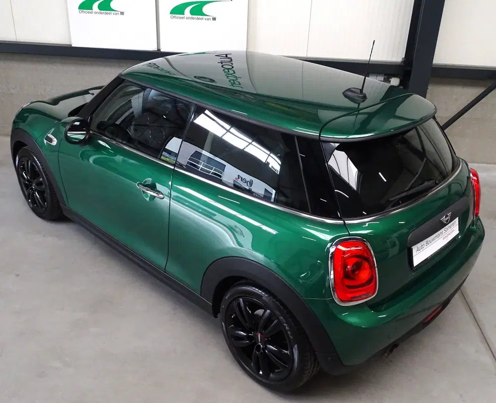 Mini Overig 1.5 "SALT" uit 2020, foto 5