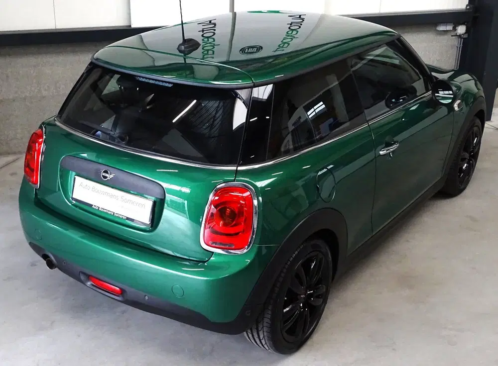 Mini Overig 1.5 "SALT" uit 2020, foto 6