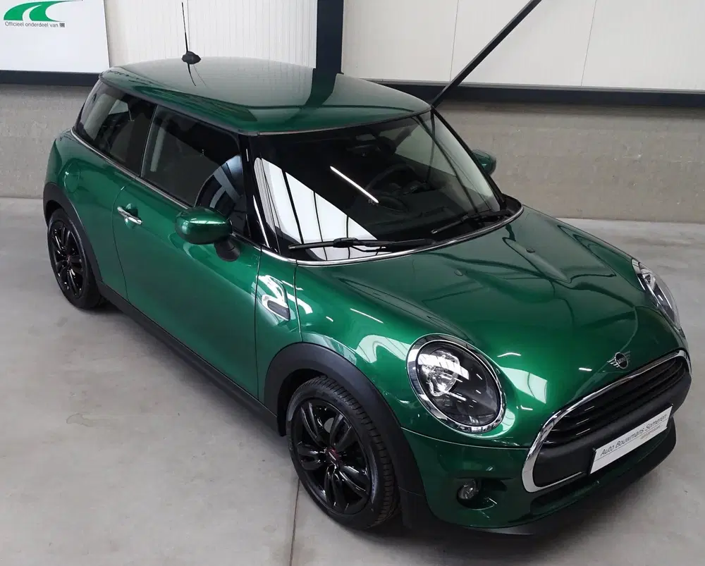 Mini Overig 1.5 "SALT" uit 2020, foto 7