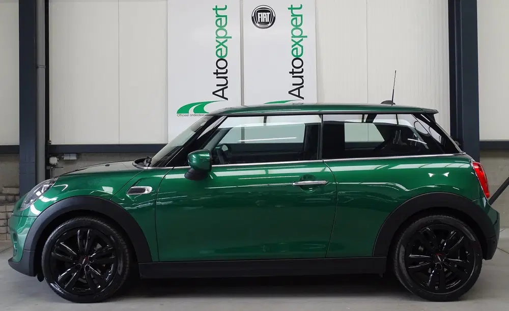 Mini Overig 1.5 "SALT" uit 2020, foto 9