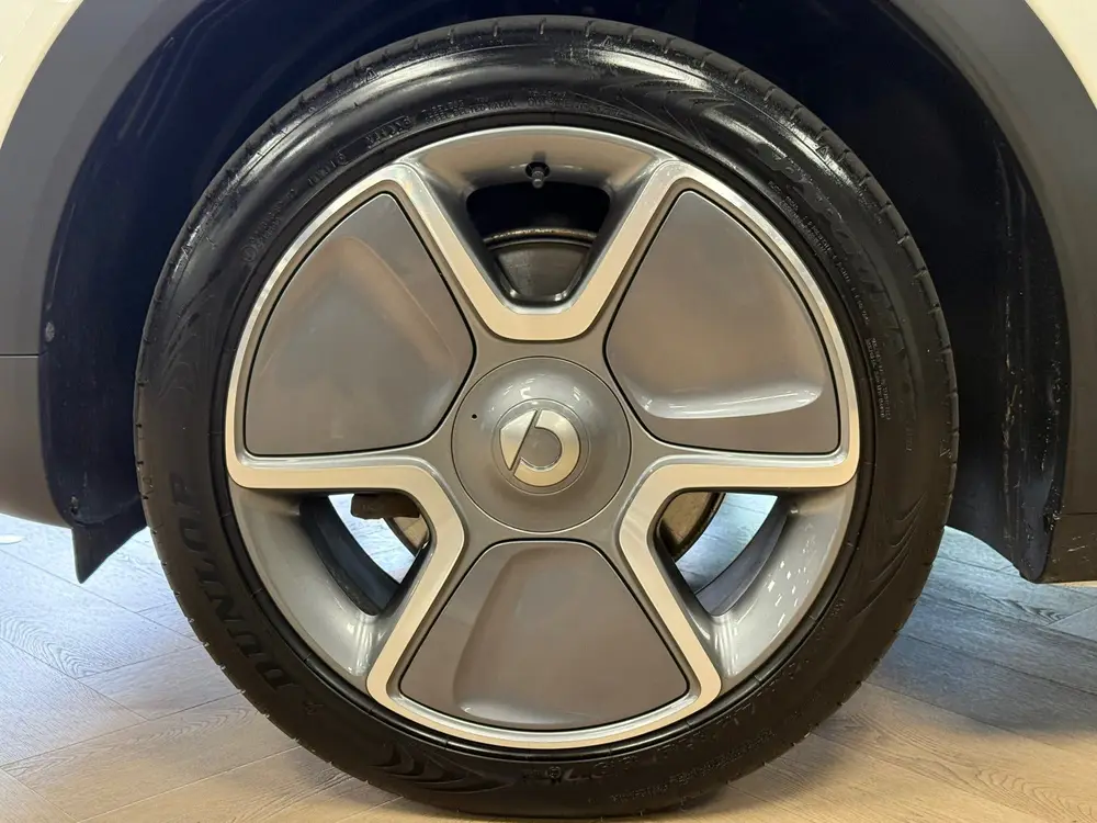 Smart #1 Pro+ 66 kWh 440km WLTP PANO 360CAM ADAPT C uit 2023, foto 9