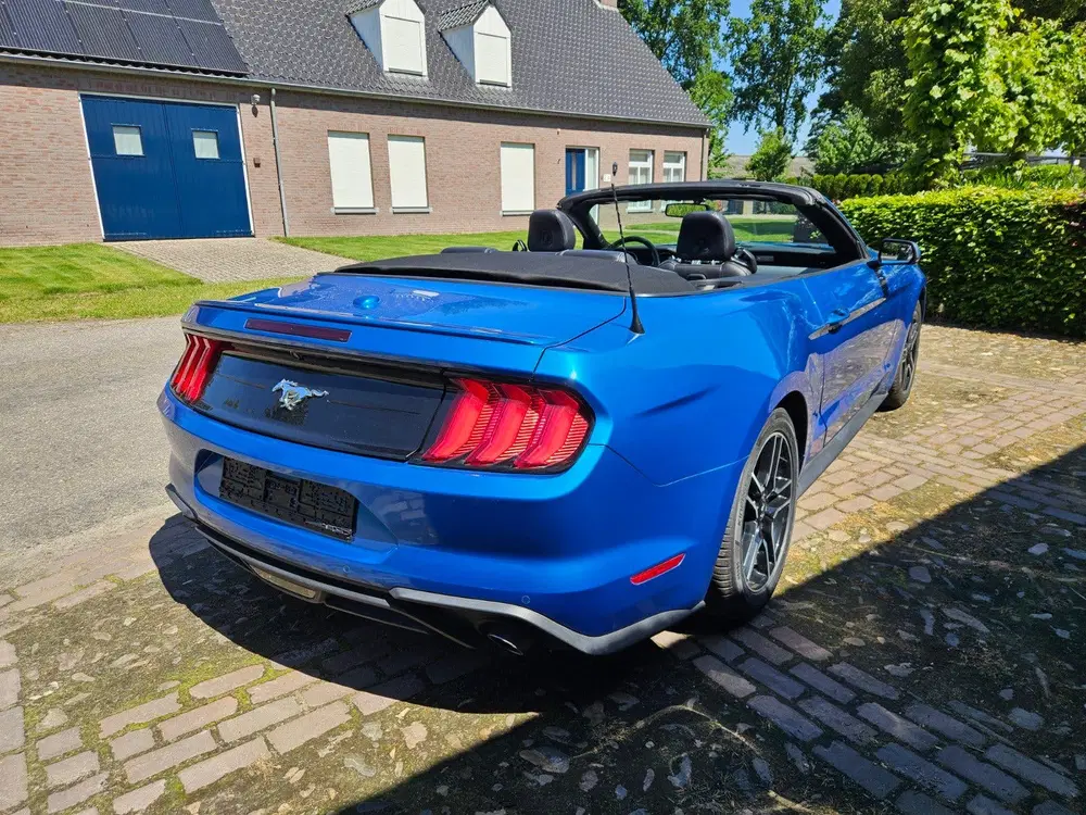 Ford Mustang nieuw model 2.3 eco cabriolet nieuwst full uit 2019, foto 3