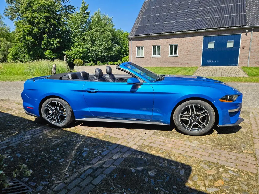 Ford Mustang nieuw model 2.3 eco cabriolet nieuwst full uit 2019, foto 4