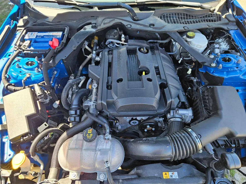 Ford Mustang nieuw model 2.3 eco cabriolet nieuwst full uit 2019, foto 8