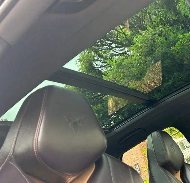 Cupra Terramar 204 PK uit 2025, foto 3