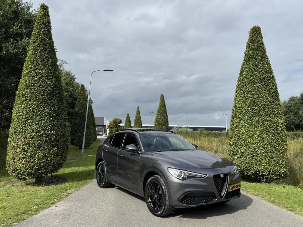 Alfa Romeo Stelvio 2.0tT Q4 Veloce uit 2019, foto 12