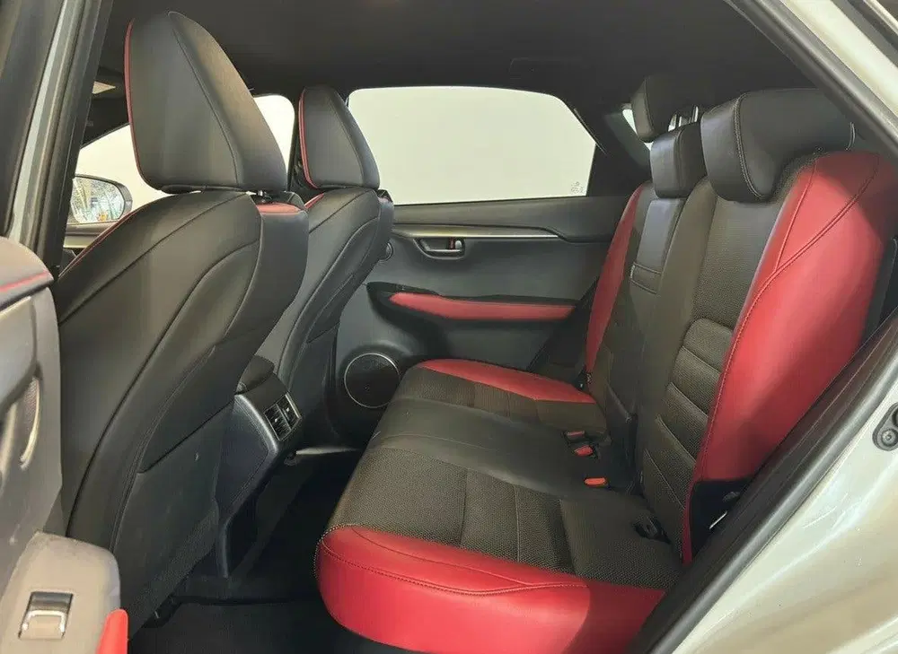Lexus NX 300h AWD F-SPORT Line uit 2020, foto 7