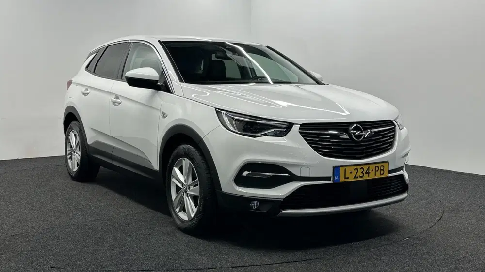 Opel Grandland 1.2 Turbo Business Executive CAMERA TREKHA uit 2021, foto 3