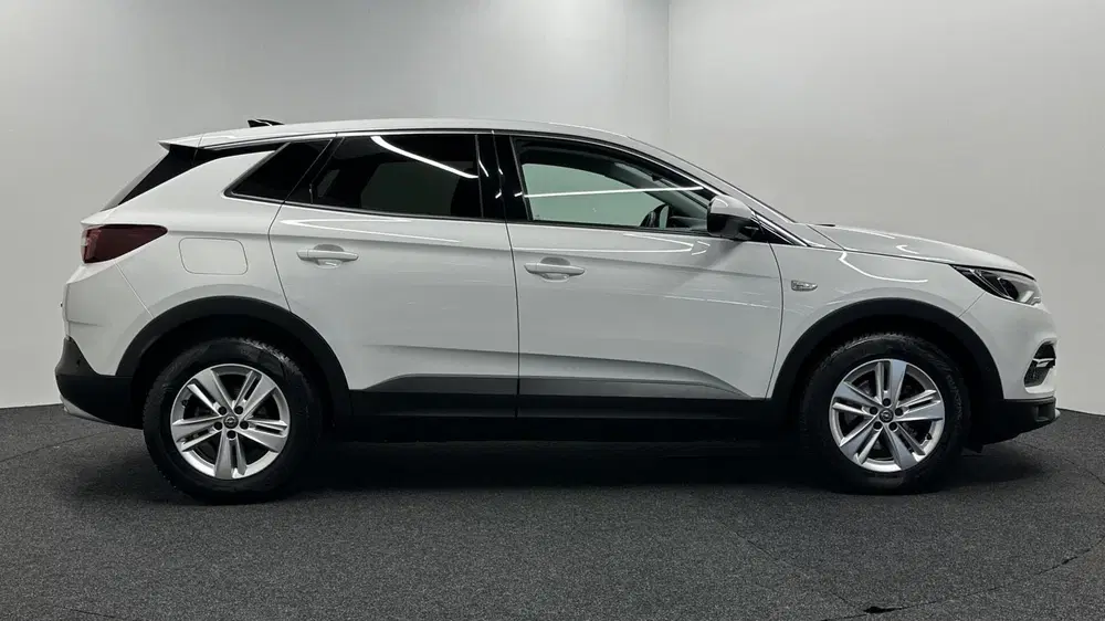 Opel Grandland 1.2 Turbo Business Executive CAMERA TREKHA uit 2021, foto 9