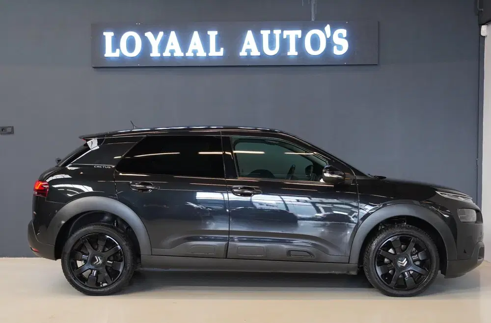 Citroën C4 Cactus Citroen C4 Cactus 1.2 PureTech Shine uit 2019, foto 5