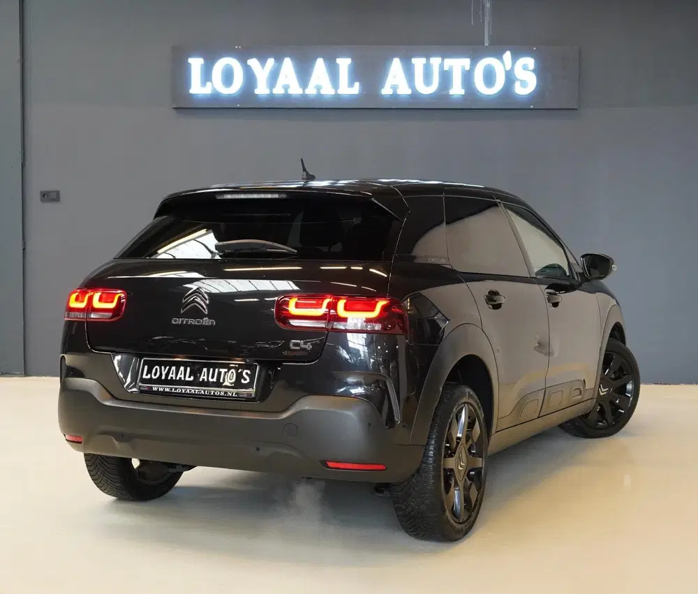 Citroën C4 Cactus Citroen C4 Cactus 1.2 PureTech Shine uit 2019, foto 6
