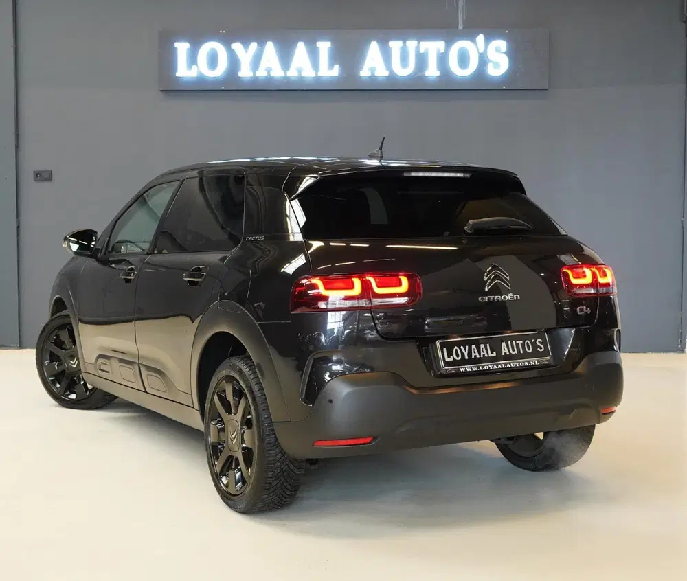 Citroën C4 Cactus Citroen C4 Cactus 1.2 PureTech Shine uit 2019, foto 8