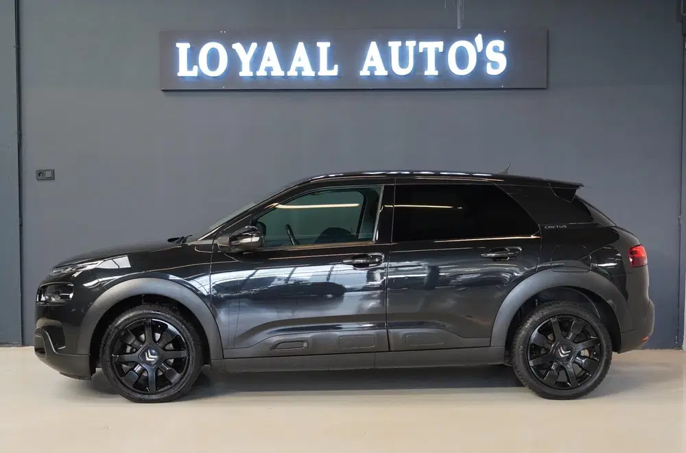 Citroën C4 Cactus Citroen C4 Cactus 1.2 PureTech Shine uit 2019, foto 9