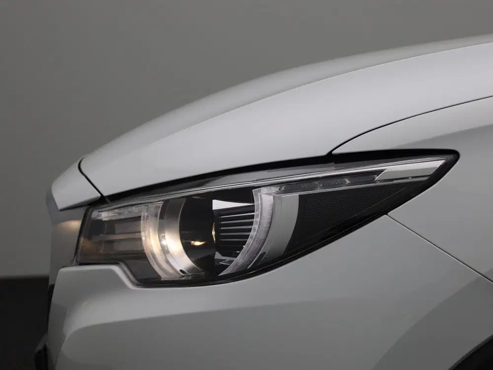 MG ZS EV Luxury 45 kWh uit 2021, foto 15