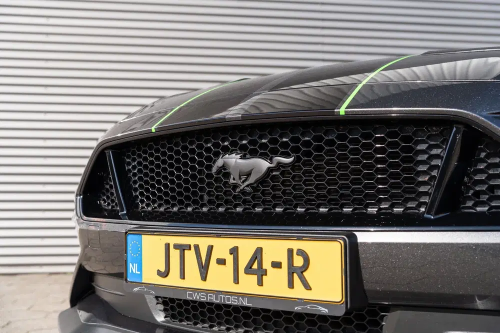 Ford Mustang 5.0 V8 GT EU GELEVERD*GEEN SCHADEVE uit 2020, foto 12