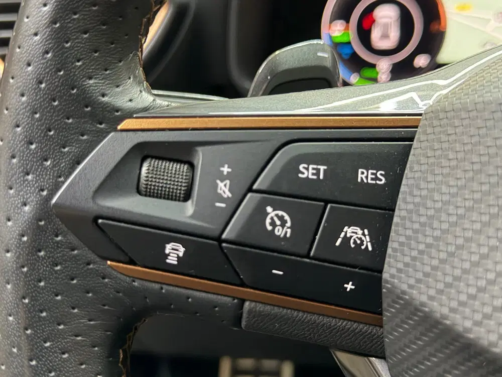 Cupra Formentor E-HYBRID 1.4 e 245 PK Pano camera clima a uit 2024, foto 13